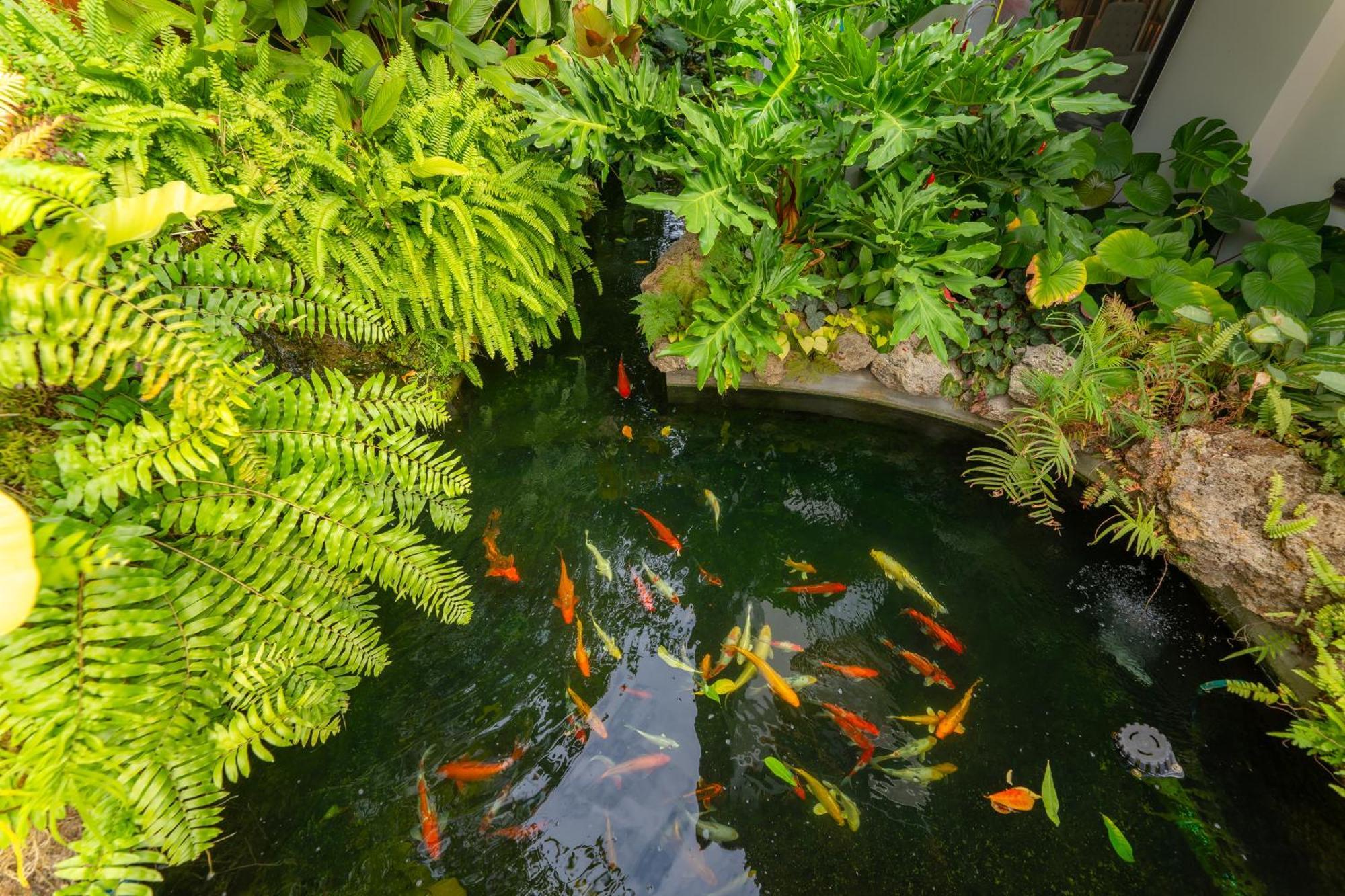 Verbena Chiangmai Chiang Mai Esterno foto